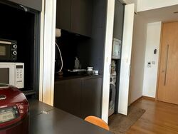 26-newton photo thumbnail #5